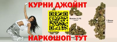 дмт Новокубанск