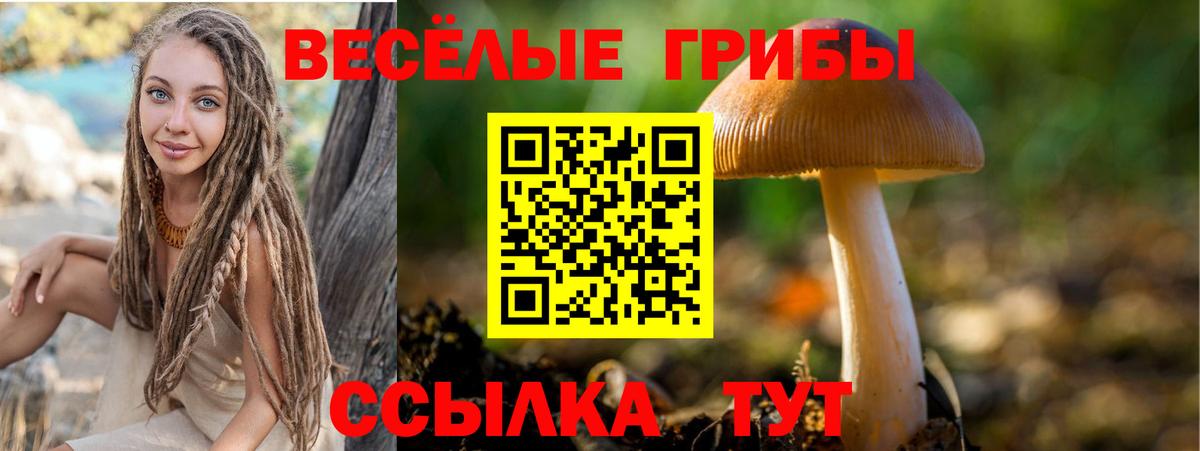 Галлюциногенные грибы Psilocybe  где купить наркоту  Верхняя Пышма  Вход с VPN 